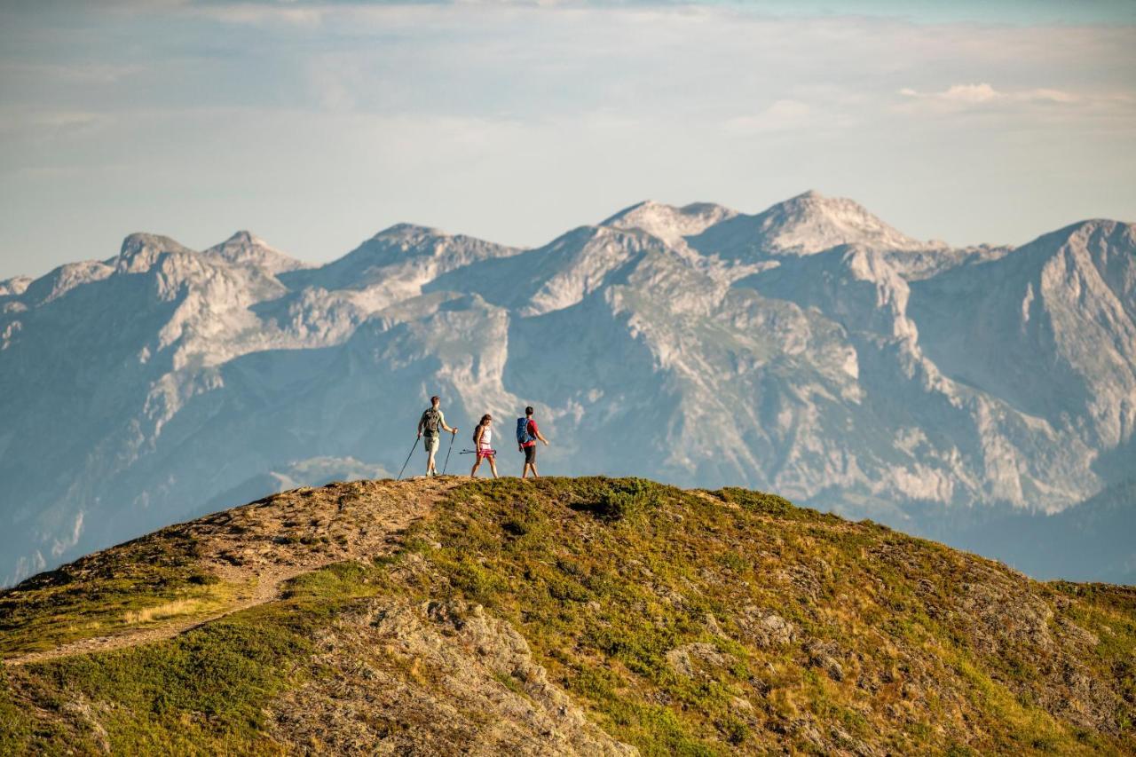 Hotel Superior Alpenhof 4*